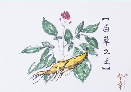 1554803600984830.jpg 百草之王.jpg