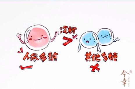 1554803627942332.jpg 人参多糖.jpg