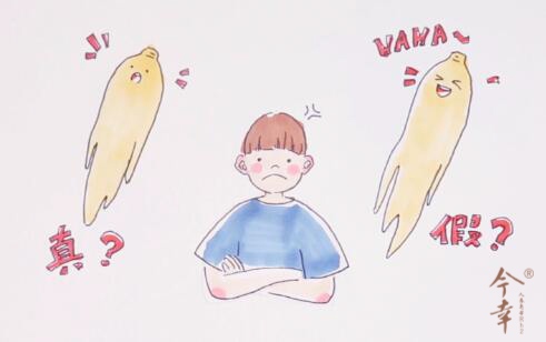 真假参.jpg