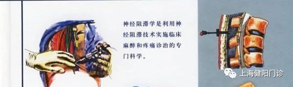 图二.jpg