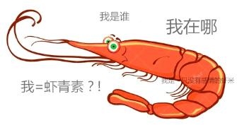 虾_看图王(1)