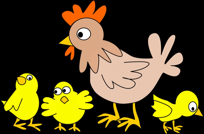 h7n9禽流感的治疗原则禽流感日常预防工作