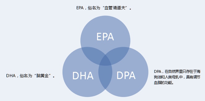 如图片无法显示，请刷新页面