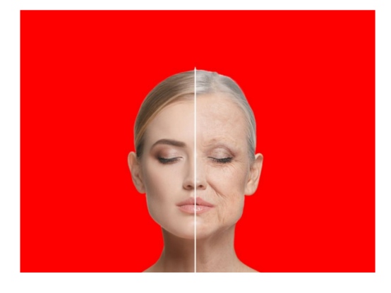 1713772741743854.png image.png